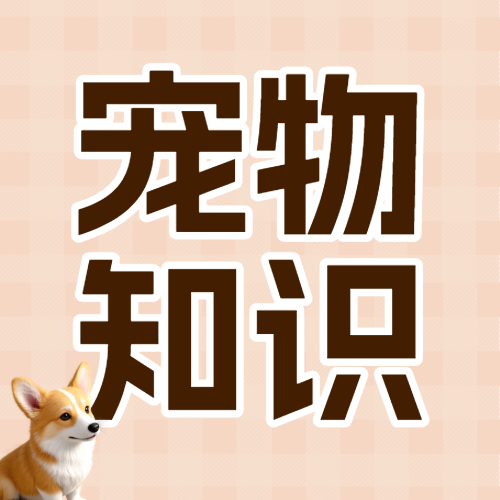 宠物知识科普