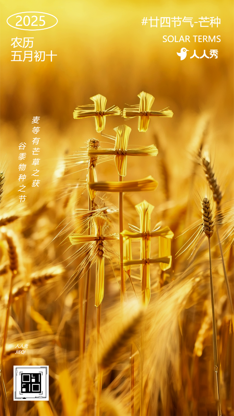 芒种节气介绍养生企业宣传祝福介绍
