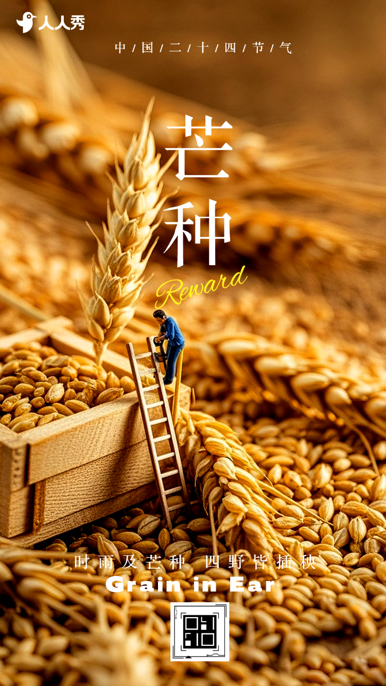 清新芒种节气介绍节气祝福企业宣传